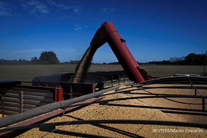 Harga Kedelai AS Melemah untuk Pekan Kedua Jumat (26/9), China Absen dari Pasar