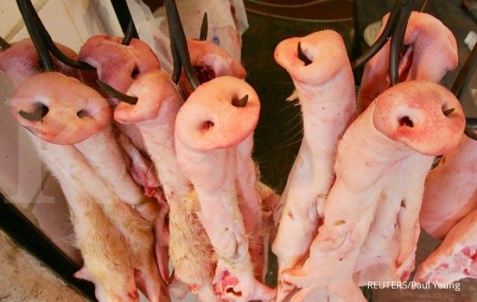 Thailand melarang impor babi dari Myanmar karena demam babi Afrika