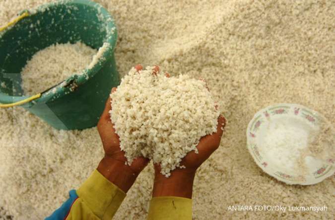 Kebutuhan garam industri yang meningkat jadi alasan Indonesia belum swasembada garam