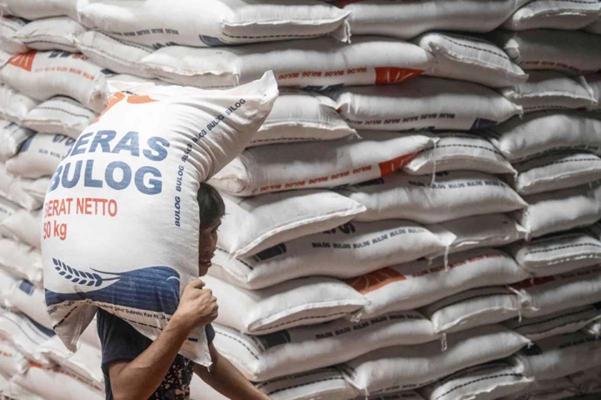 Usai Pemilu, Bantuan Pangan Beras 10 Kg Bakal Disalurkan Lagi, Kapan? 