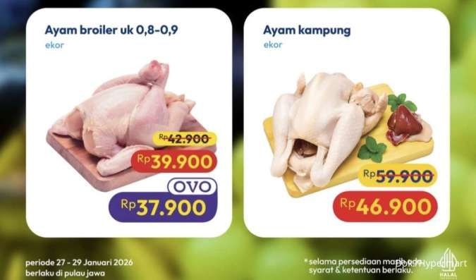 Promo Hypermart Weekday Periode 27-29 Januari 2026, Ayam Kampung Diskon Rp 13.000