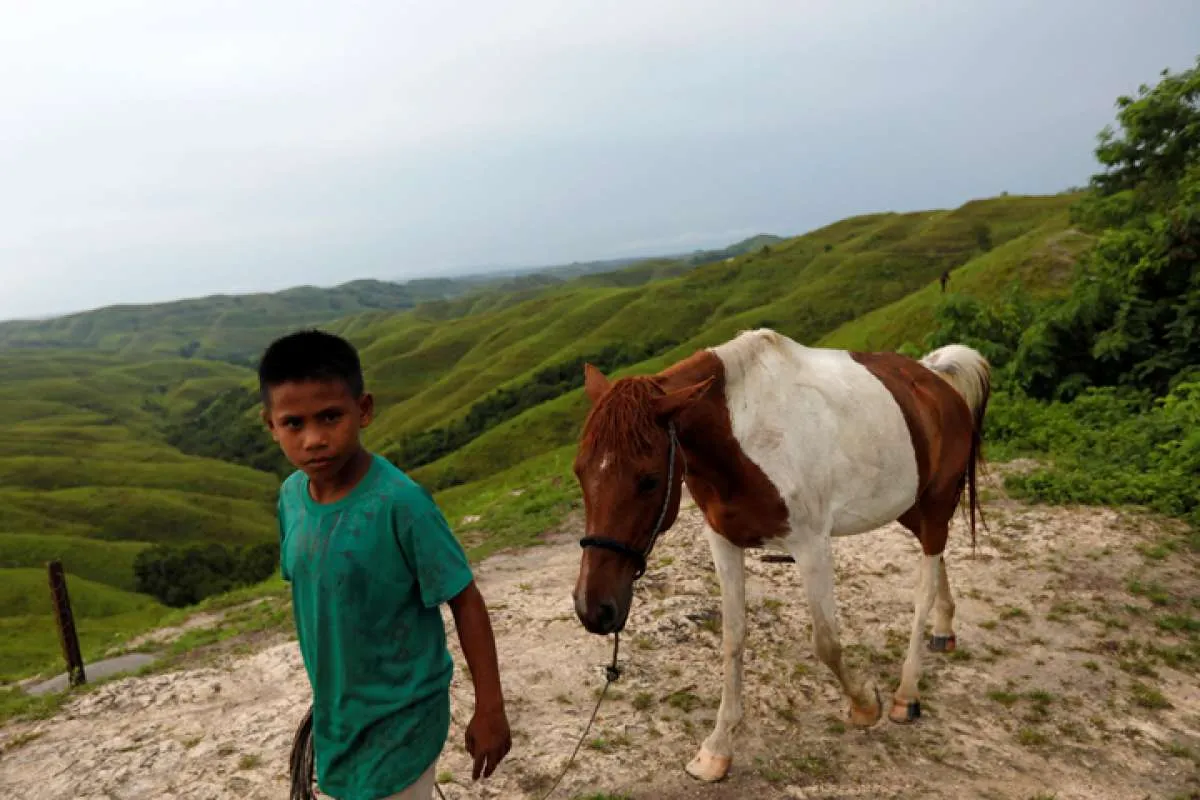 Sehari di Waingapu Sumba Timur, Ini 4 Pilihan Wisata yang Bisa Dinikmati