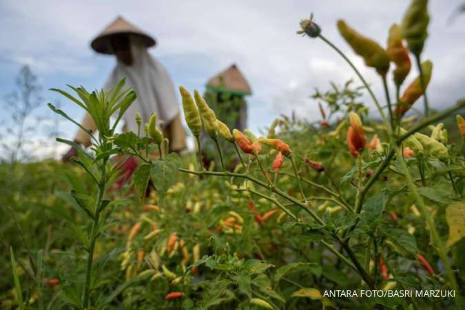 Nilai Tukar Petani Meningkat 0,73% pada Januari 2025