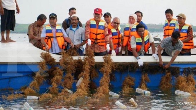 Lombok Timur panen rumput laut 150 ton