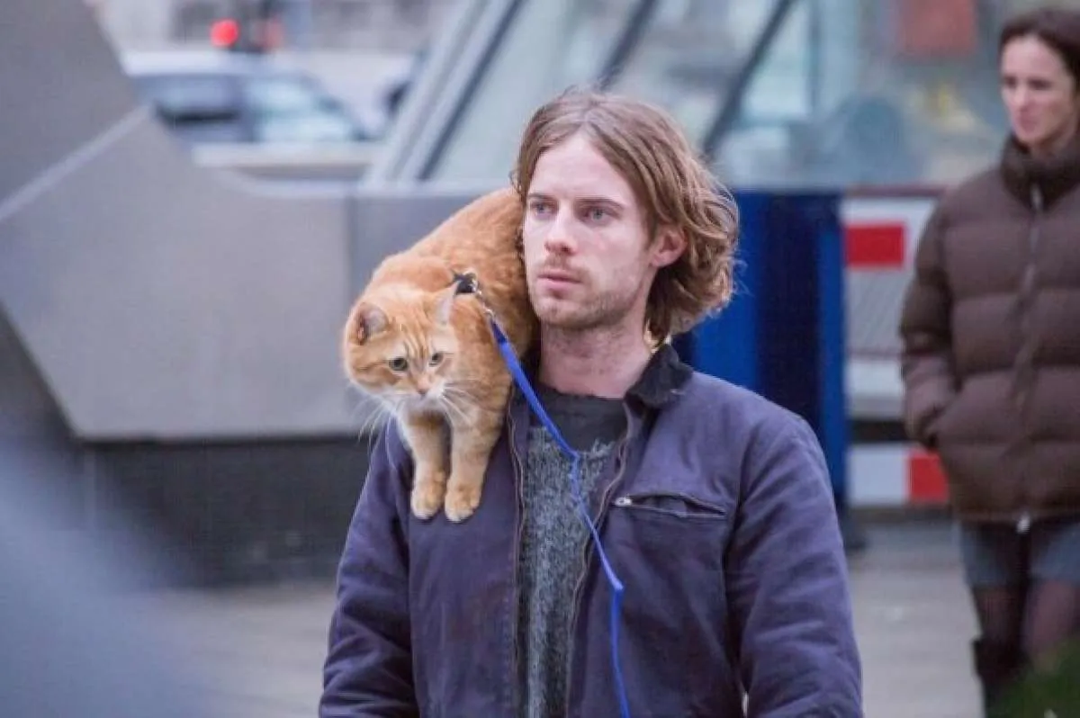 Deretan kucing lucu dan populer yang muncul di film superhero hingga animasi