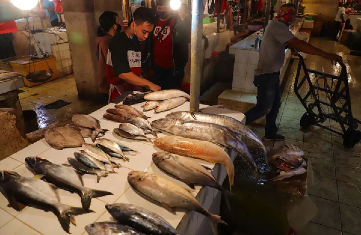 KKP Jamin Pasokan Ikan Aman Selama Ramadan dan Idul Fitri