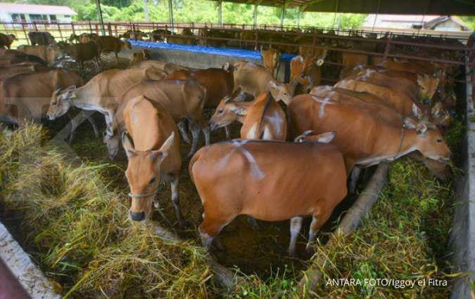 Sidomuncul Pupuk Nusantara Tingkatkan Produksi Suplemen Nutrisi Hewan Ternak