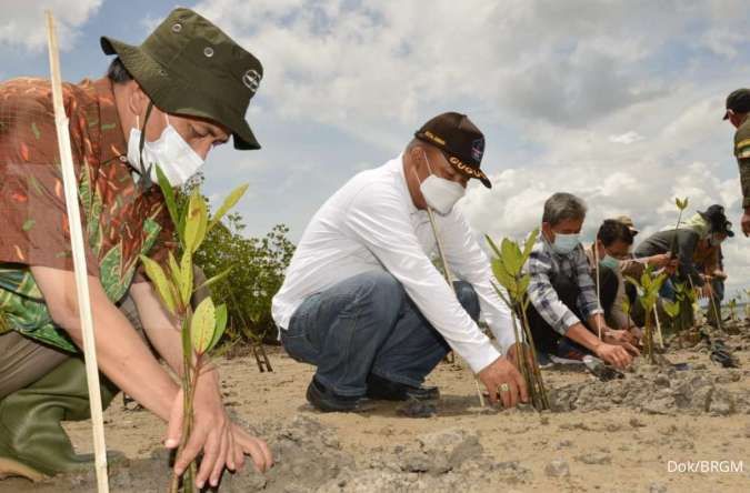 BRGM sebut realisasi penanaman rehabilitasi mangrove baru 1.103 ha hingga Mei
