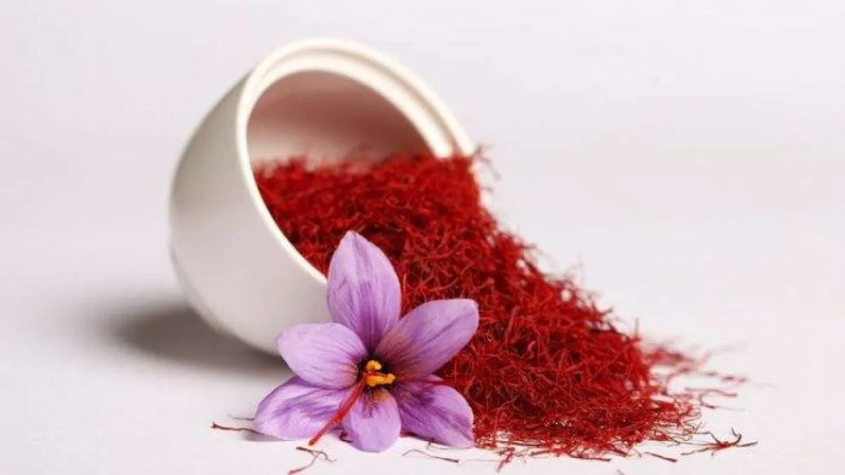 2 Rempah-Rempah Ini Telah Terbukti Bisa Meningkatkan Gairah Seks pada Perempuan