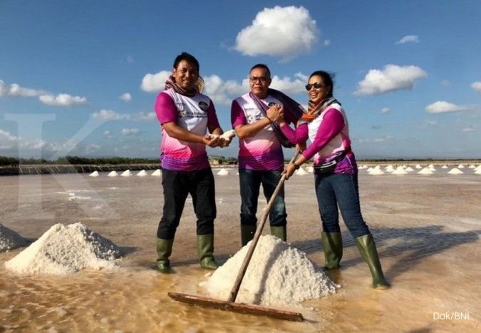 Sinergi dengan PT Garam, BNI salurkan KUR Rp 7,4 miliar untuk petani garam