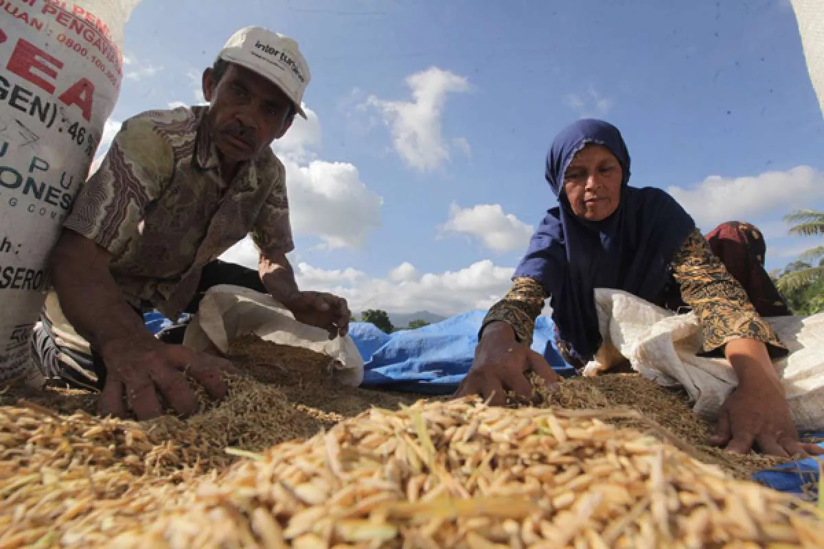 Usai Kirim ke Arab Saudi, Indonesia Bakal Ekspor Beras ke Malaysia Hingga Filipina