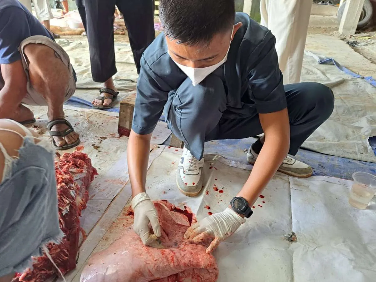 Cegah Penyebaran Penyakit Lumpy Skin Diases pada Hewan, Kementan Lakukan Pemeriksaan