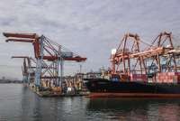 Pelemahan Kinerja Ekspor CPO dan Batubara Mengusik Surplus Perdagangan Indonesia