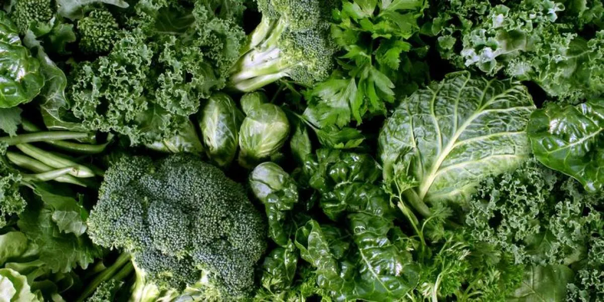 Makan Sayur dan Jamur Bisa Membuat Tubuh Sehat dan Panjang Umur? 