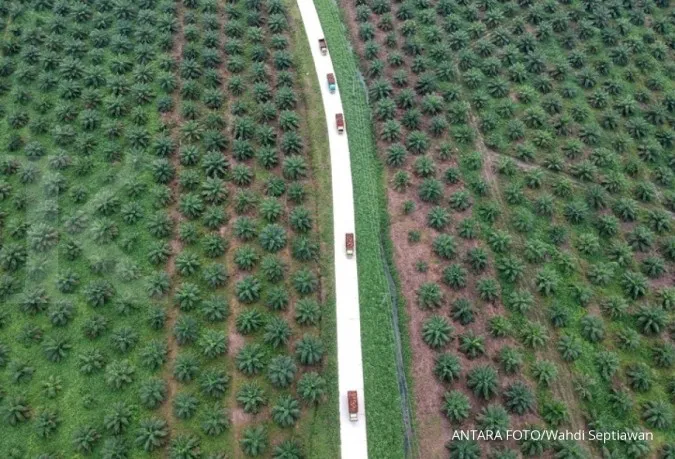 Indonesia certifies a record amount of palm plantations as sustainable