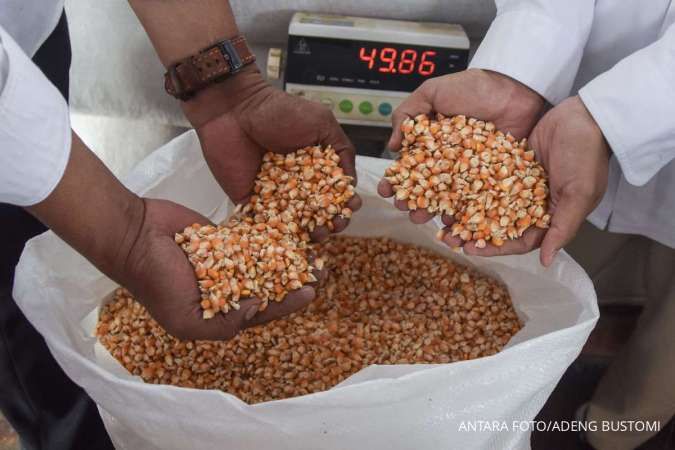 Petani India Tertekan, Impor Kedelai dan Jagung GM AS Picu Kekhawatiran