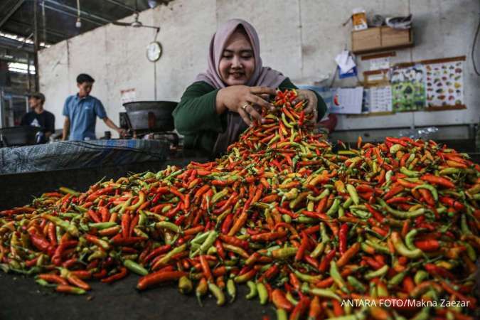 Harga Pangan Mengerek Inflasi September