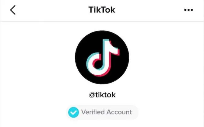 Akun verified TikTok