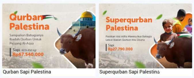 Kurban di Palestina Lewat Rumah Zakat