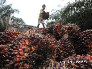 Lonjakan harga komoditas turut menyokong harga CPO di Malaysia