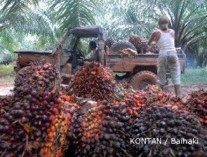 Empat bulan pertama, volume penjualan CPO AALI naik 21%