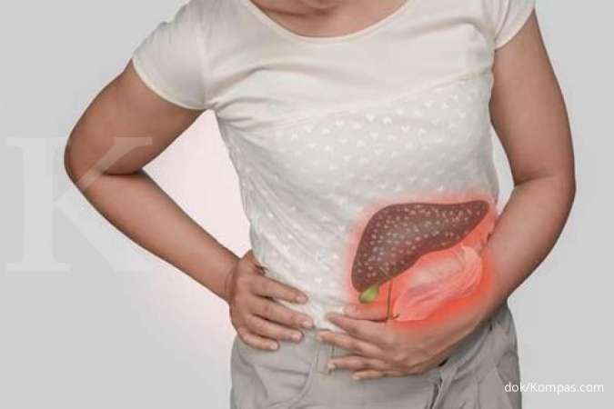 Ini 3 Gejala Awal dan Lanjutan Penyakit Liver yang Perlu Dikenali