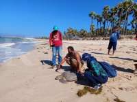 KKP Dorong Kolaborasi Multi-Pihak untuk Perlindungan Penyu dan Cetacea