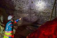 Keseimbangan Industri dan Alam, Strategi Konservasi SMGR di Bulu Sipong