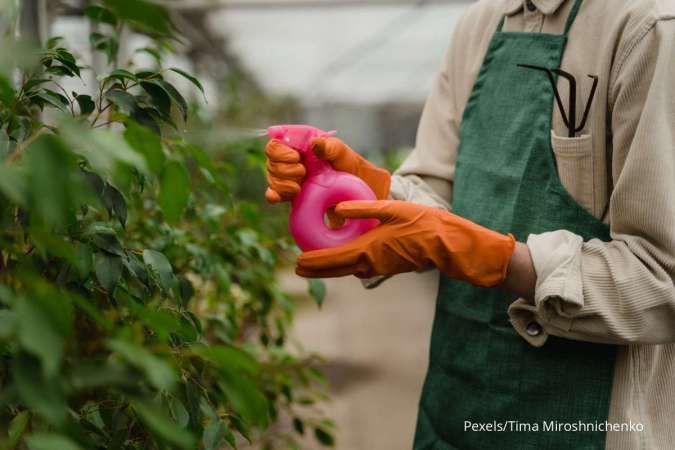 Ini 7 Jenis Pestisida Menurut Organisme Sasarannya 