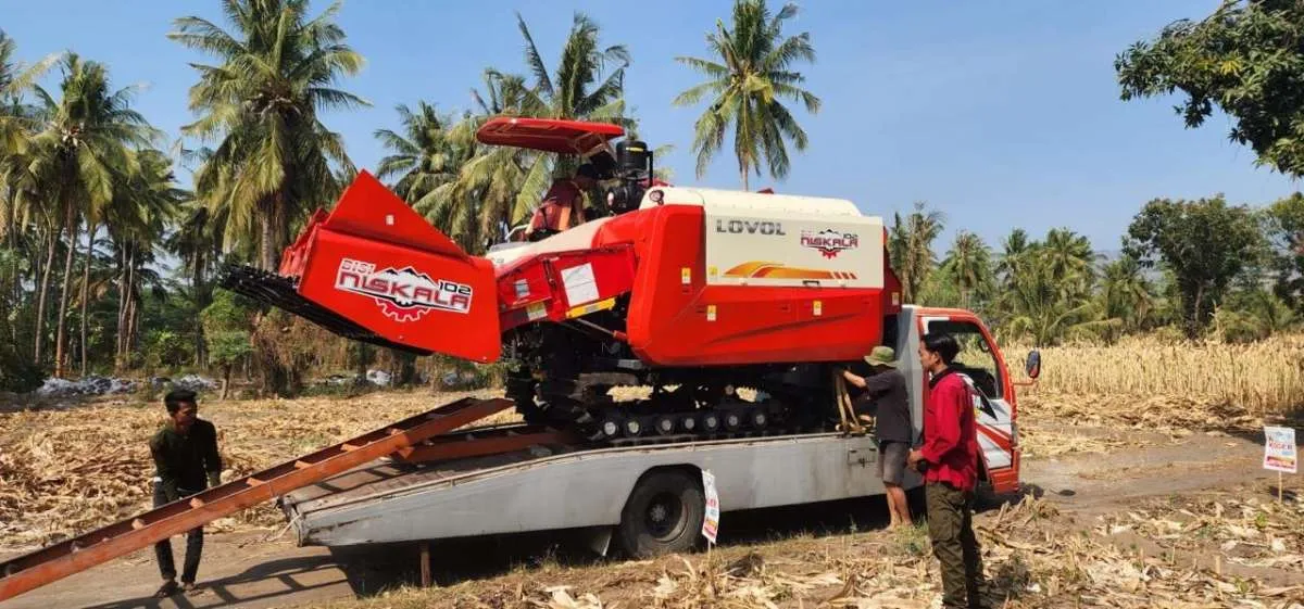 Per Kuartal I 2025, Laba Bersih Bisi International (BISI) Tergerus 26,4%