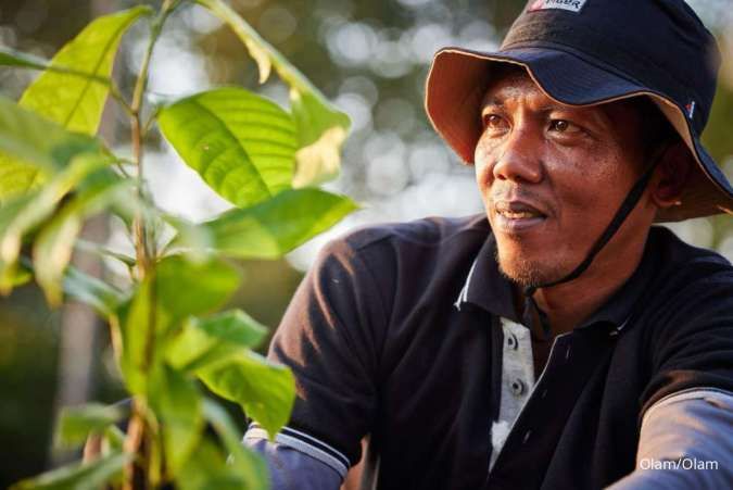 OFI Umumkan Pencapaian Tahun Pertama Program Wanatani Kakao dan Kopi Berkelanjutan 