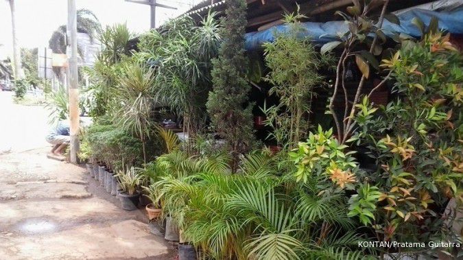 Berburu tanaman hias di kawasan Cinere (1)