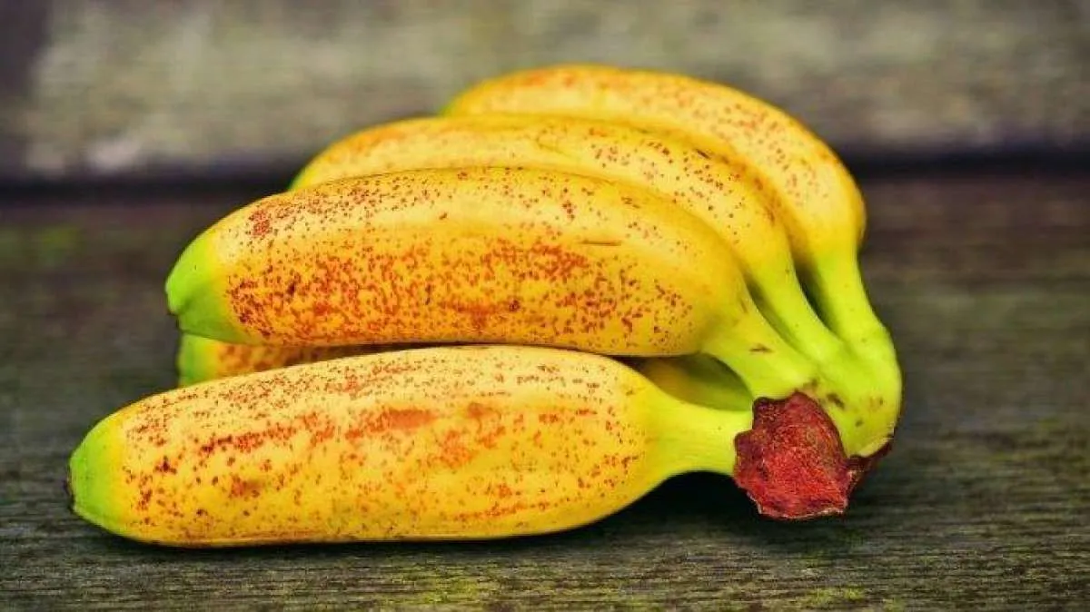 5 Buah Tinggi Serat yang Aman Dikonsumsi Setiap Hari