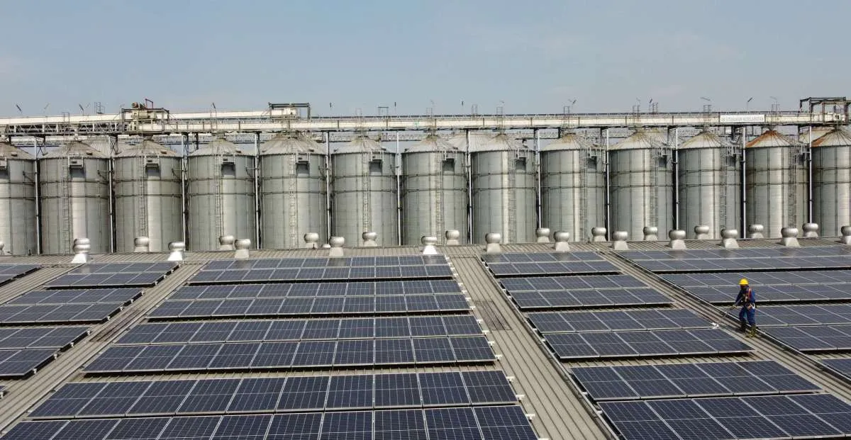 Investasi Energi Panas Bumi di Indonesia Makin Dilirik