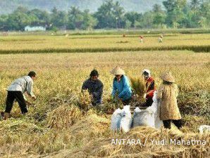 Usulan kenaikan HPP beras sebesar 27% hingga 28%