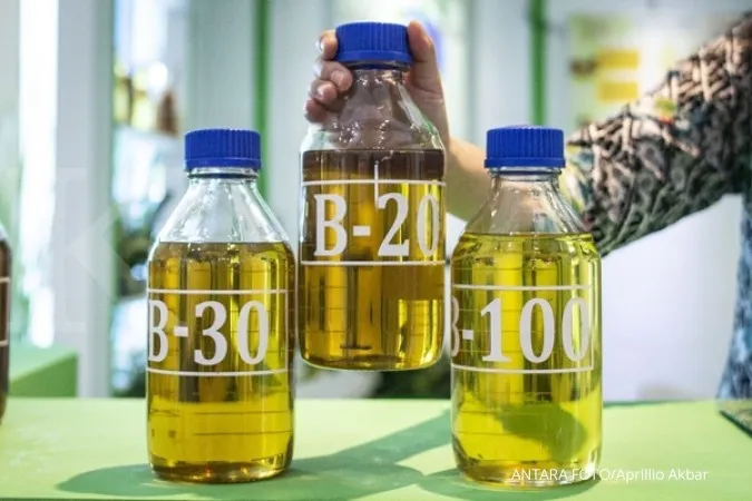 Indonesia looks at policy revamp to keep biodiesel program alive