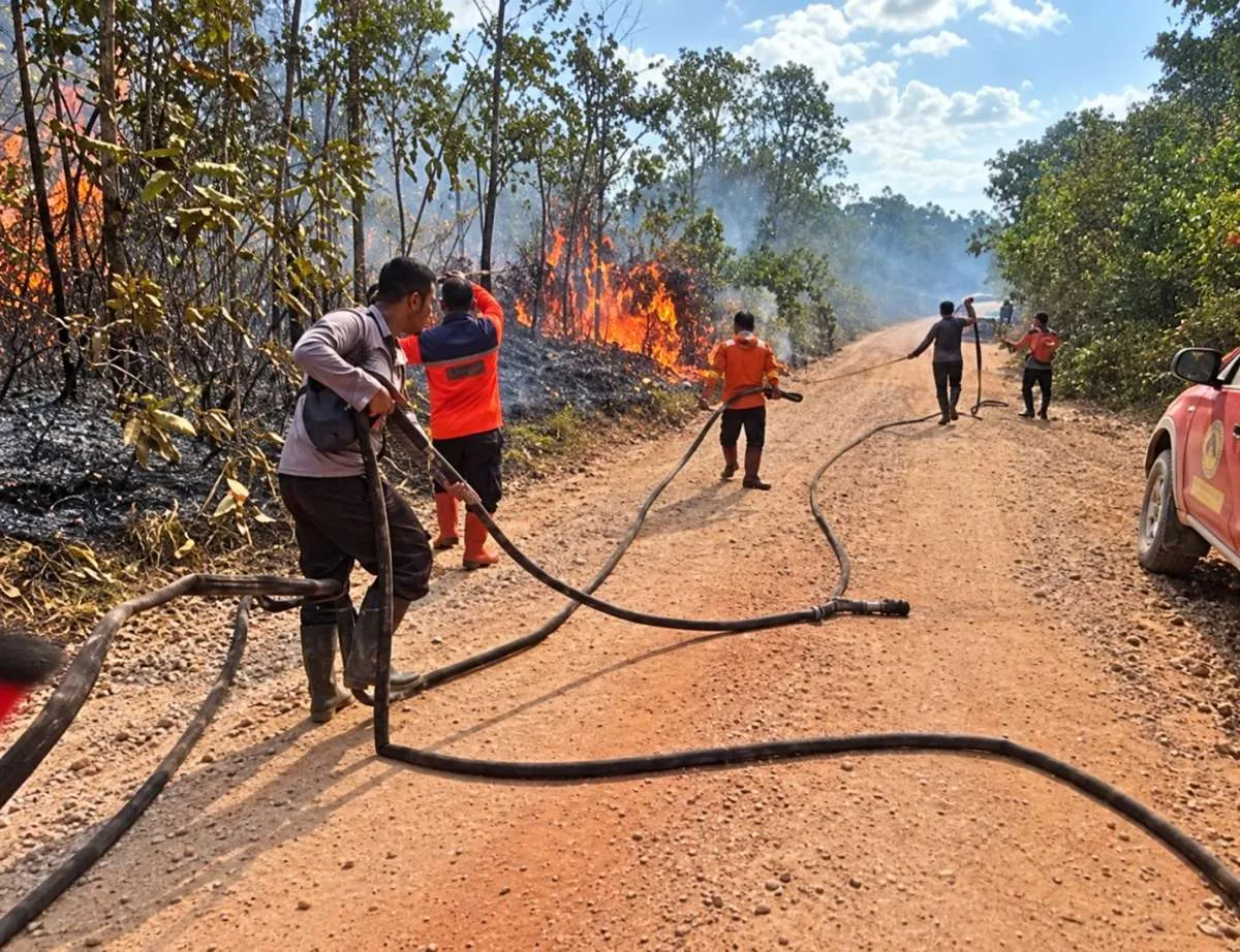Kebakaran Hutan dan Lahan Belum Jadi Bencana Nasional, BNPB Ungkap Alasannya