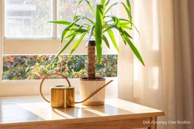 5 Tanaman Pembawa Sial yang Harus Disingkirkan dari Rumah, Punya Energi Negatif!