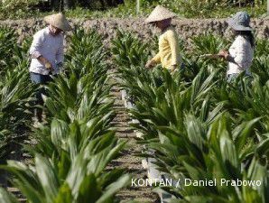 Bakrie Sumatera Plantations akan kembangkan bisnis secara organik