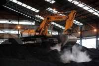 Meski Terkendala di Beberapa Daerah, PLN Terus Dorong Kesuksesan PLTU Co-firing