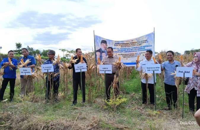 Panen Jagung Pupuk Organik di Gorontalo, Gobel: Hasilnya 2-5 Kali Lipat