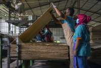 Kemenperin: Kontribusi sektor industri agro tembus 50% terhadap PDB industri nonmigas