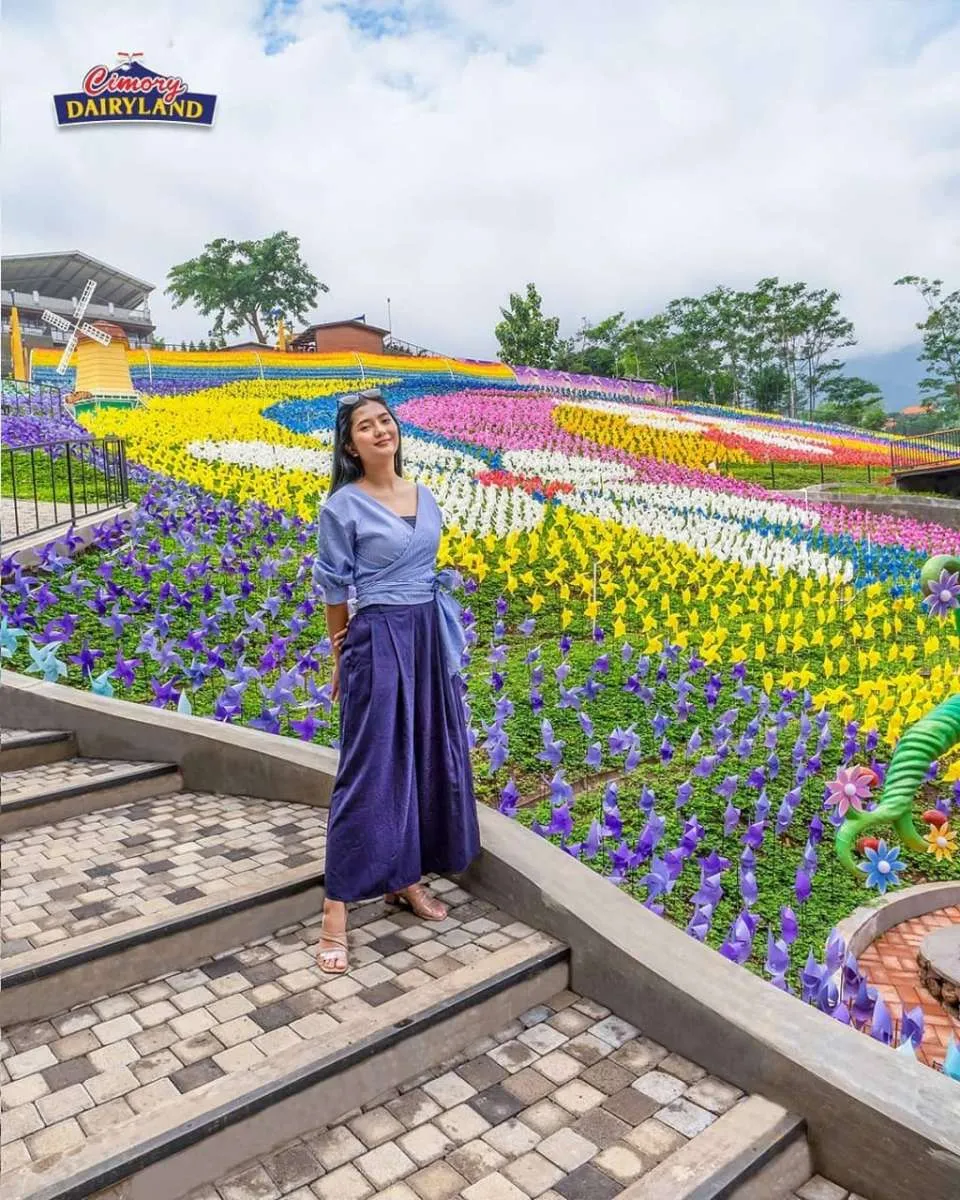 De Windmills wahana terbaru Cimory Dairyland Prigen, ada banyak kincir warna-warni
