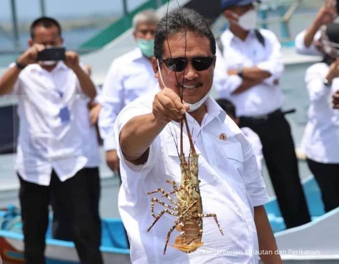 Tegakkan Tata Kelola Lobster, KKP Akan Bentuk Satgas Khusus
