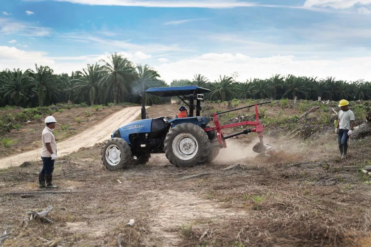 Eagle High Plantations (BWPT) Lunasi Sukuk Rp 38,29 Miliar, Simak Prospeknya