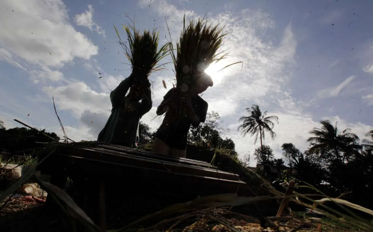 Stok Menipis, Pedagang Pasar Induk Beras Cipinang Dorong Pemerintah Ambil Opsi Impor