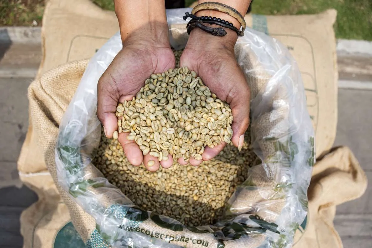 Industri Kopi Indonesia Makin Kompetitif, SCAI Dorong Kolaborasi Hulu-Hilir