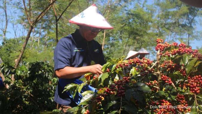  Program Makmur Kopi Sukses Tingkatkan Produktivitas Petani di Jawa Timur