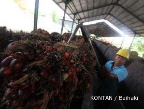 Penolakan CPO Indonesia oleh AS mengada-ada