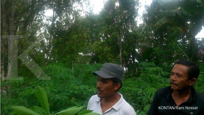 Warga Bulukumba menghirup aroma segar hasil kebun